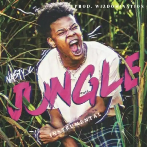 Instrumental: Nasty C - Jungle